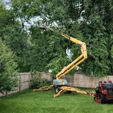 Best Lot and Land Clearing  in Summerville, GA