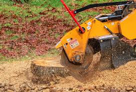 Best Lawn Renovation and Restoration  in Summerville, GA