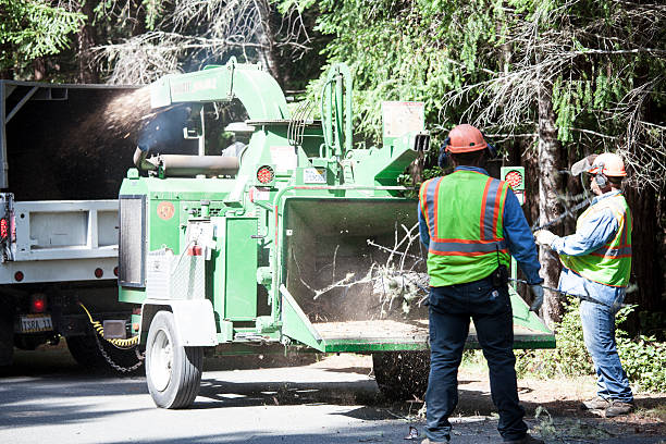 Best Weed Control  in Summerville, GA